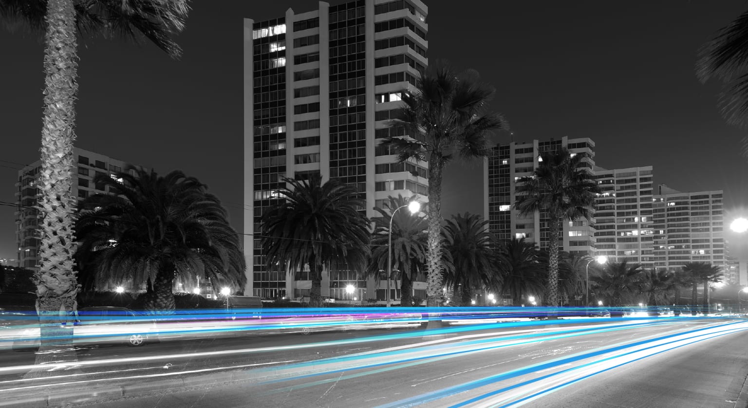 Viña del Mar de noche